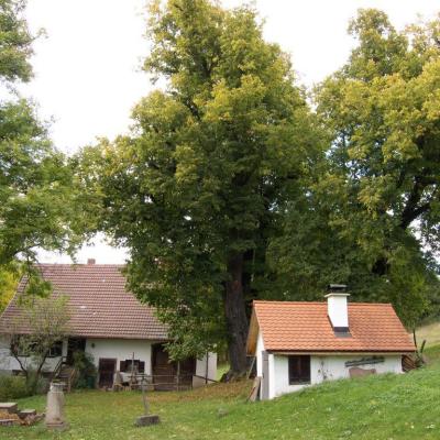 Hoflinde Backhaus